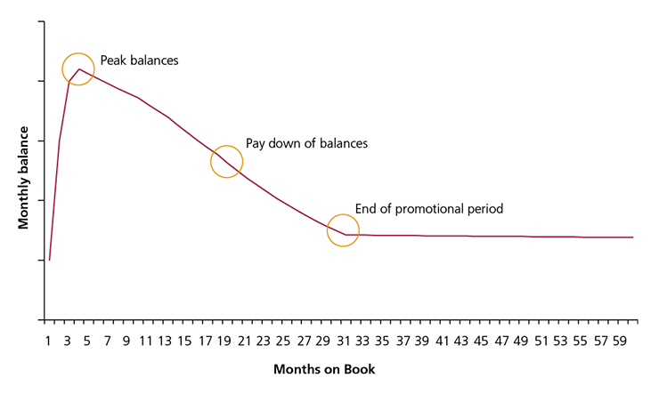 Figure 11: Example monthly balance for a long-term balance transfer offer